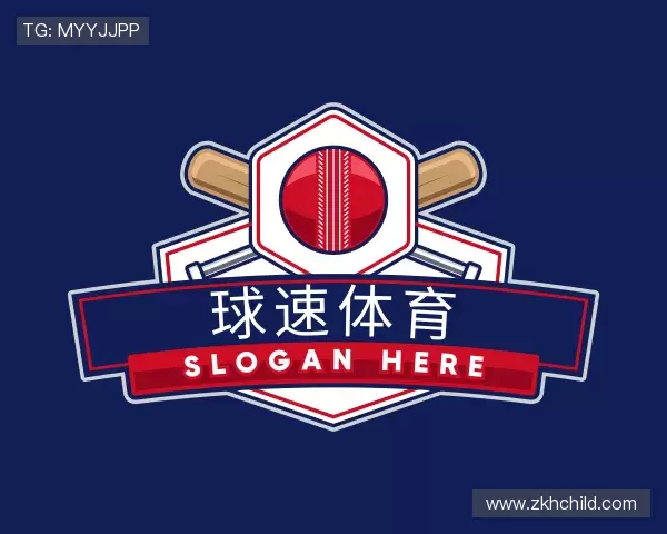 介绍球速体育